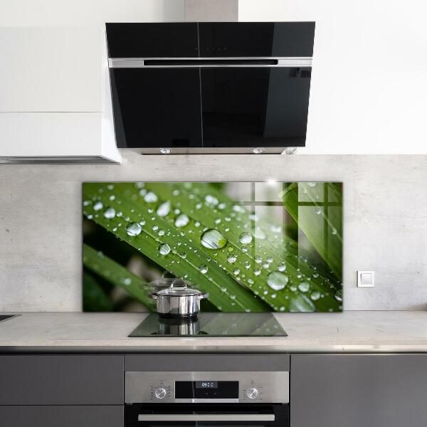 Konyhai fali panel Harmatcseppek a fűben