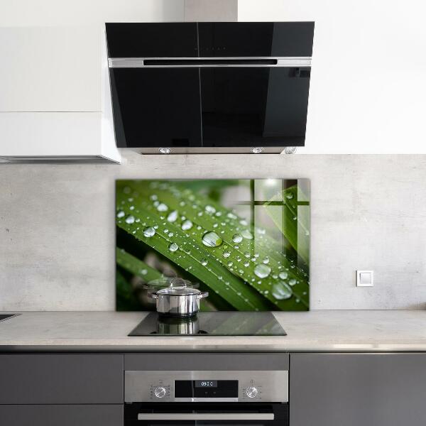 Konyhai fali panel Harmatcseppek a fűben