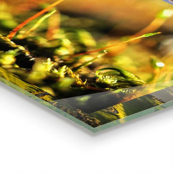 Konyhai fali panel Erdei moha részletek