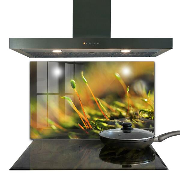 Konyhai fali panel Erdei moha részletek