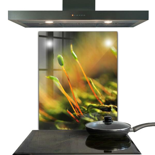 Konyhai fali panel Erdei moha részletek