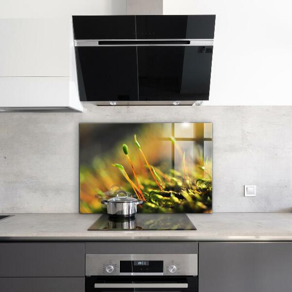 Konyhai fali panel Erdei moha részletek