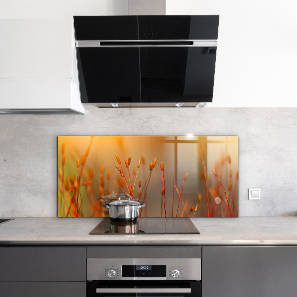 Konyhai fali panel Gabonamező naplementekor