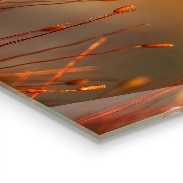 Konyhai fali panel Gabonamező naplementekor