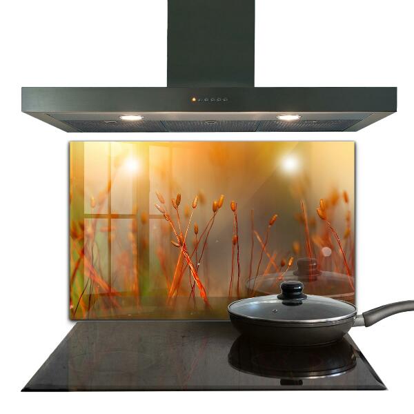 Konyhai fali panel Gabonamező naplementekor