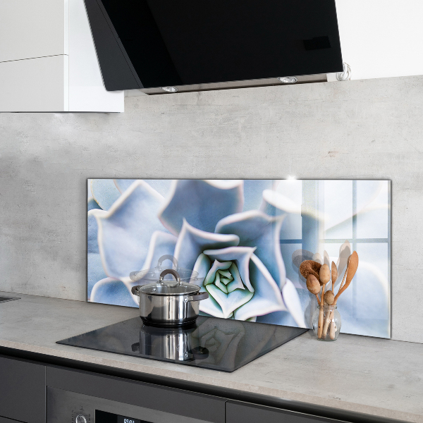 Konyhai fali panel Kaktusz zamatos