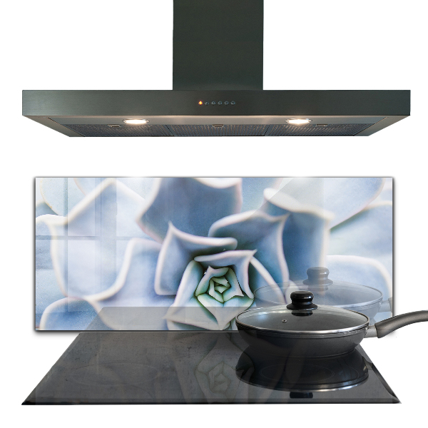 Konyhai fali panel Kaktusz zamatos