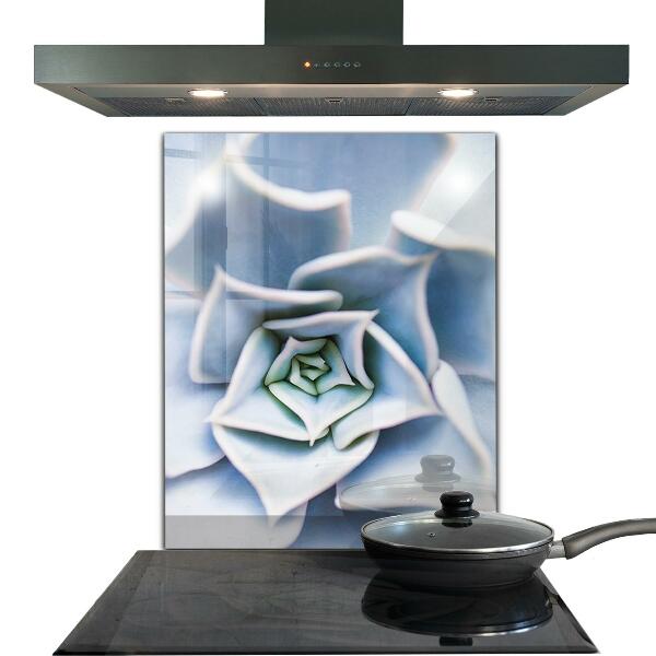 Konyhai fali panel Kaktusz zamatos