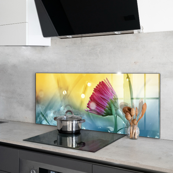 Konyhai fali panel Finom százszorszép a réten