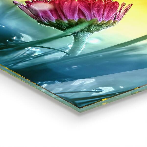 Konyhai fali panel Finom százszorszép a réten