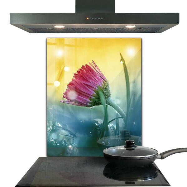 Konyhai fali panel Finom százszorszép a réten