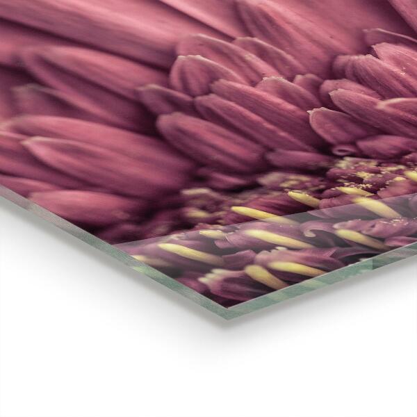 Konyhai fali panel Virág margaretka gerbera