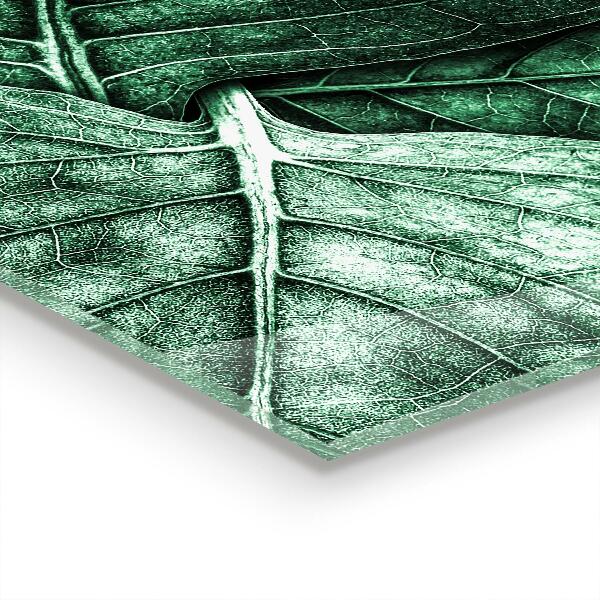 Konyhai fali panel Zöld levél részletek