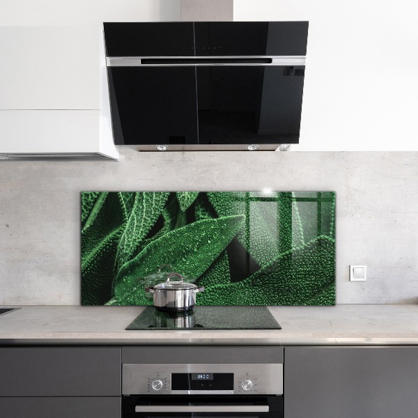 Konyhai fali panel Zöld levelek eső után