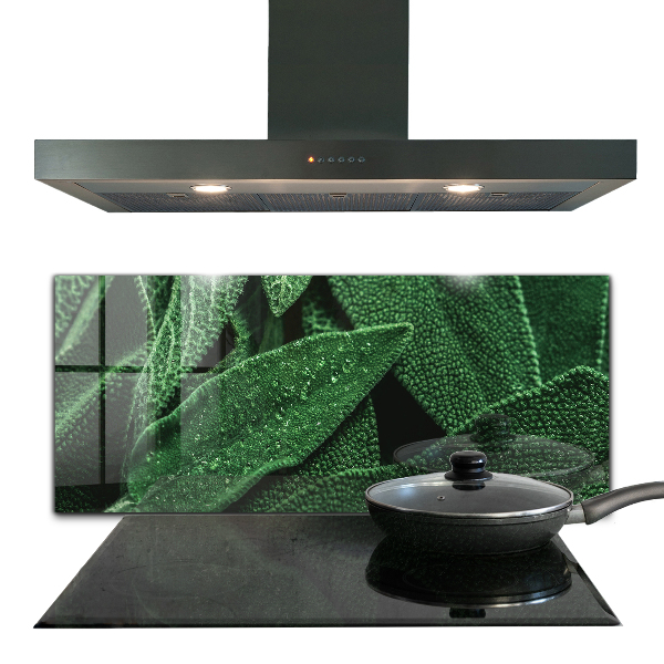 Konyhai fali panel Zöld levelek eső után