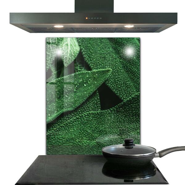 Konyhai fali panel Zöld levelek eső után