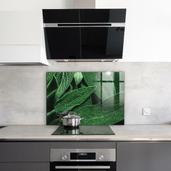 Konyhai fali panel Zöld levelek eső után