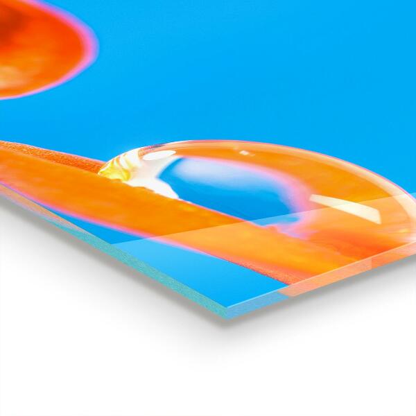 Konyhai fali panel Narancs virág