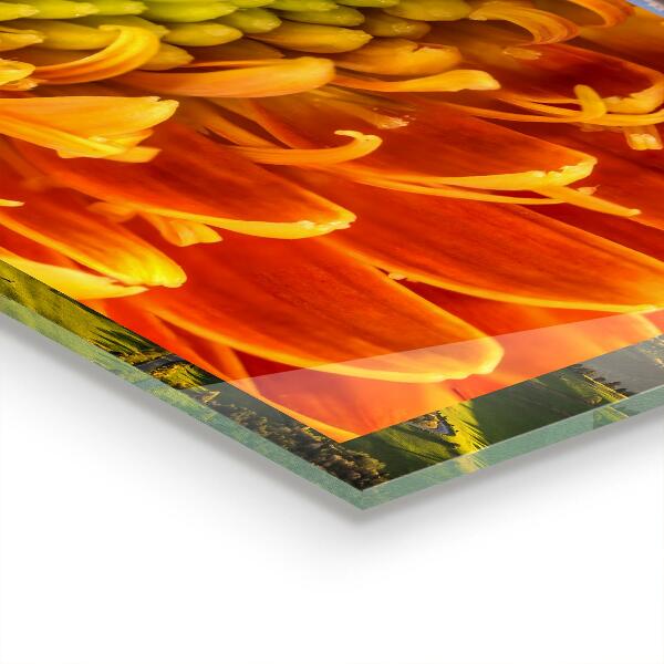 Konyhai fali panel Gerbera virágnarancs