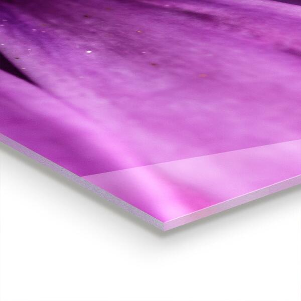 Konyhai fali panel Lila nyári virág