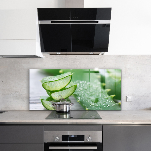 Konyhai hátfal panel Aloe aloe vera növény