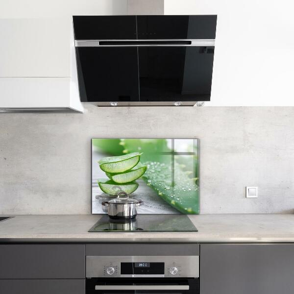 Konyhai hátfal panel Aloe aloe vera növény