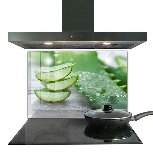 Konyhai hátfal panel Aloe aloe vera növény