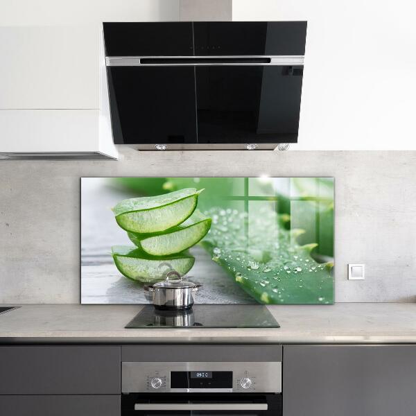 Konyhai hátfal panel Aloe aloe vera növény