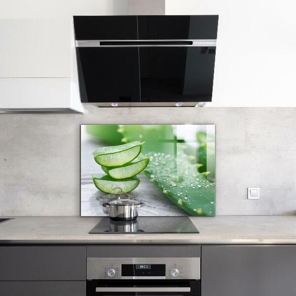 Konyhai hátfal panel Aloe aloe vera növény