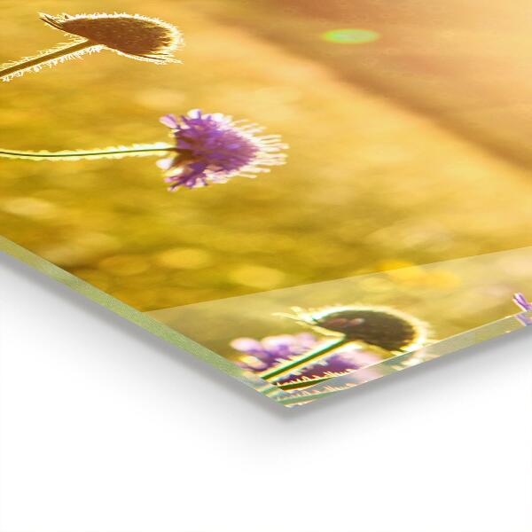 Konyhai hátfal panel Nyáron virágzó rét