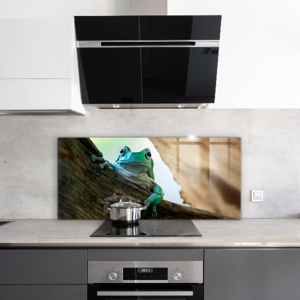 Konyhai panel Kíváncsi béka egy levélen