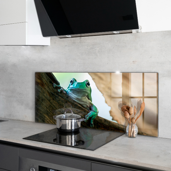 Konyhai panel Kíváncsi béka egy levélen