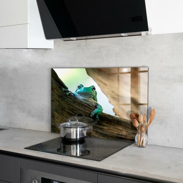 Konyhai panel Kíváncsi béka egy levélen