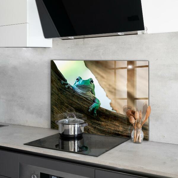 Konyhai panel Kíváncsi béka egy levélen