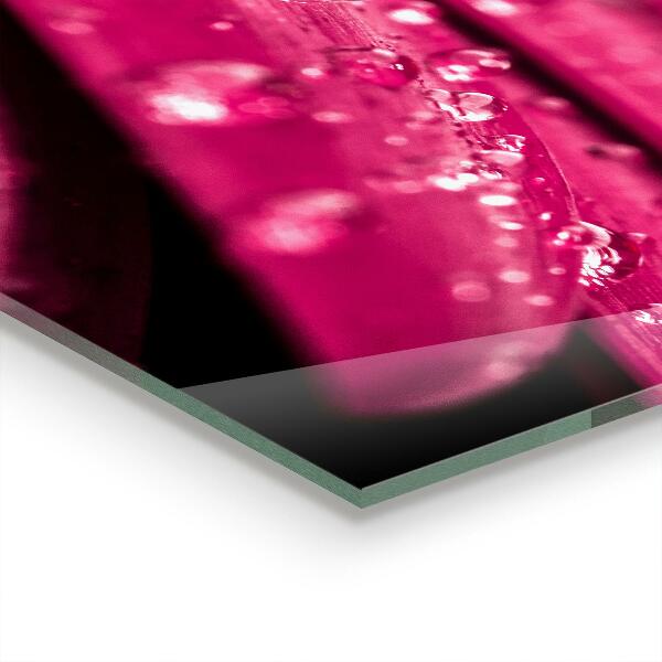 Konyhai hátfal panel Rózsaszín növényi virág