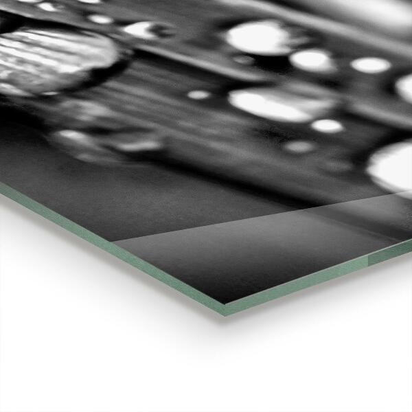 Konyhai hátfal panel Leaf rosa fekete-fehér