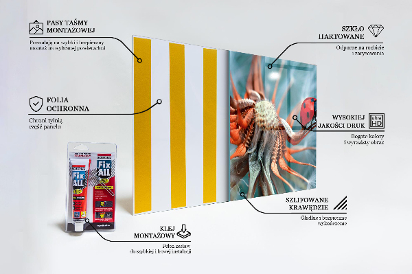 Konyhai panel Katicabogár vörös bogár
