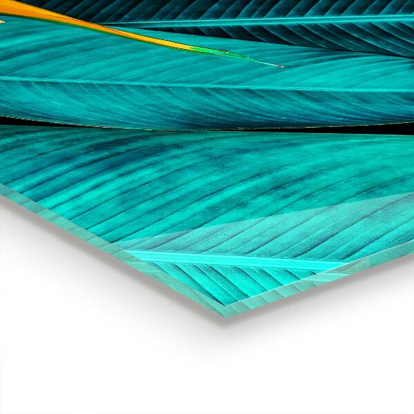 Konyhai hátfal panel Egzotikus trópusi virág