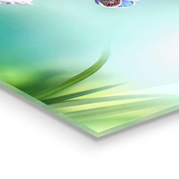 Konyhai hátfal panel Nyári réti pillangó virág