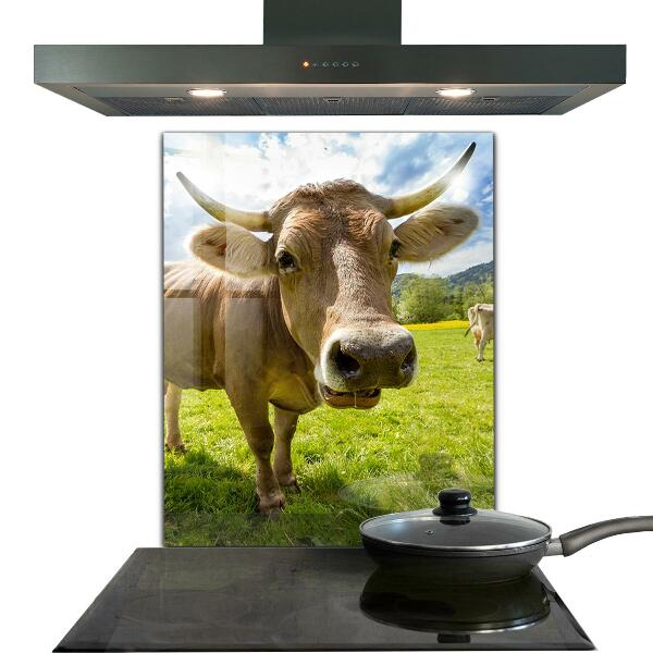 Konyhai panel Vidéki klíma krowa pole