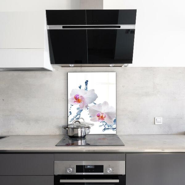 Konyhai hátfal panel Orchidea vízzel meglocsolva