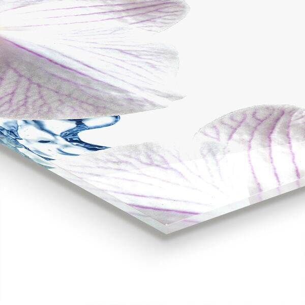 Konyhai hátfal panel Orchidea vízzel meglocsolva