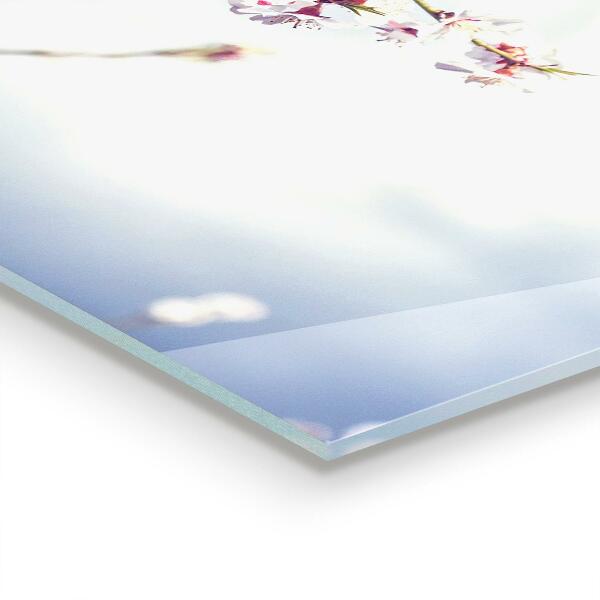 Konyhai hátfal panel Finom rózsaszín virágok