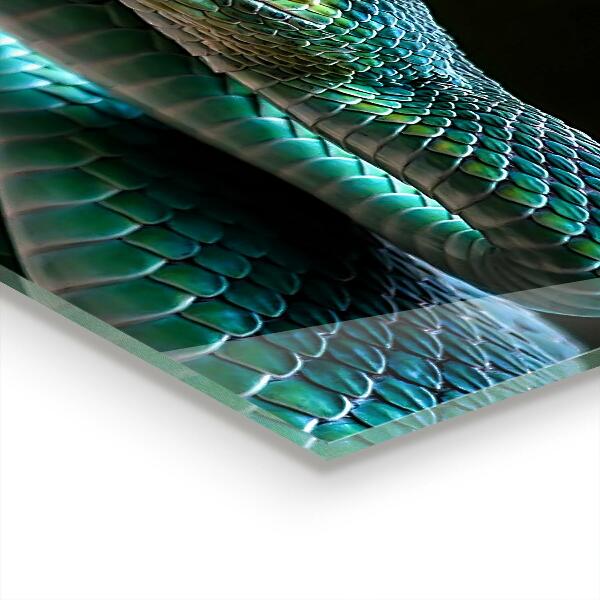 Konyhai panel Snake wildlife