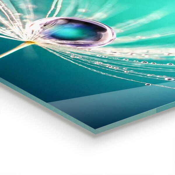 Konyhai hátfal panel Pitypang harmatcseppel