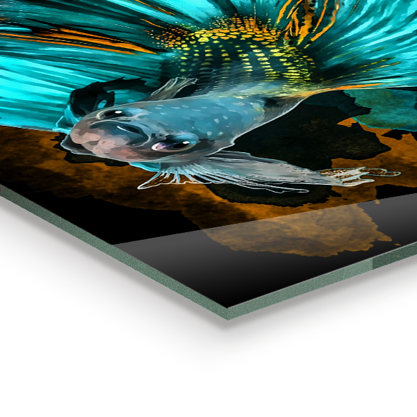 Konyhai panel Trópusi harci halak