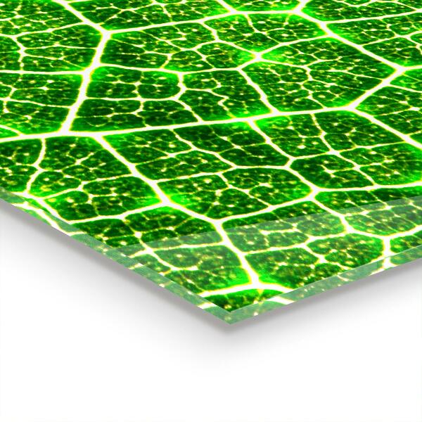 Konyhai hátfal panel A zöld botanika ereje