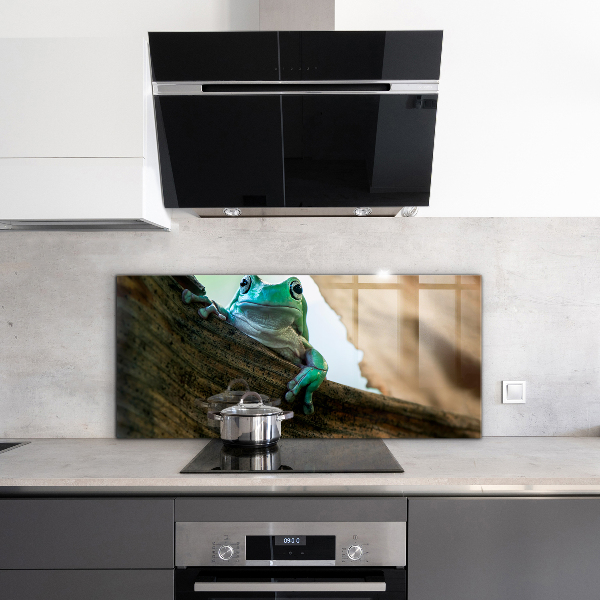 Konyhai panel Afrikai béka portré