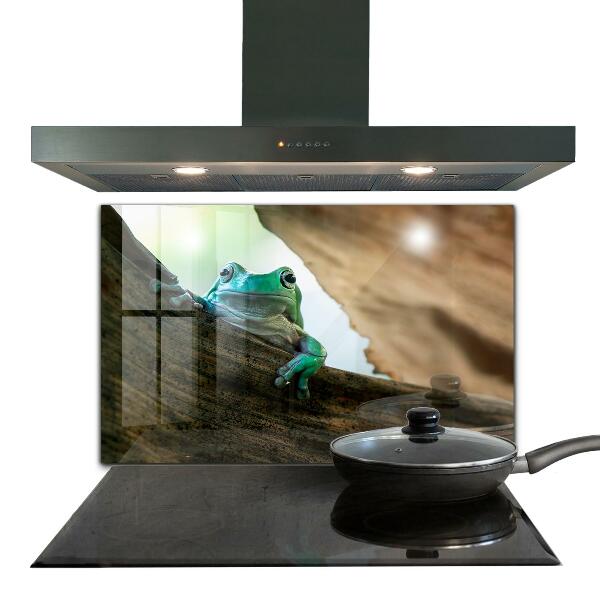 Konyhai panel Afrikai béka portré