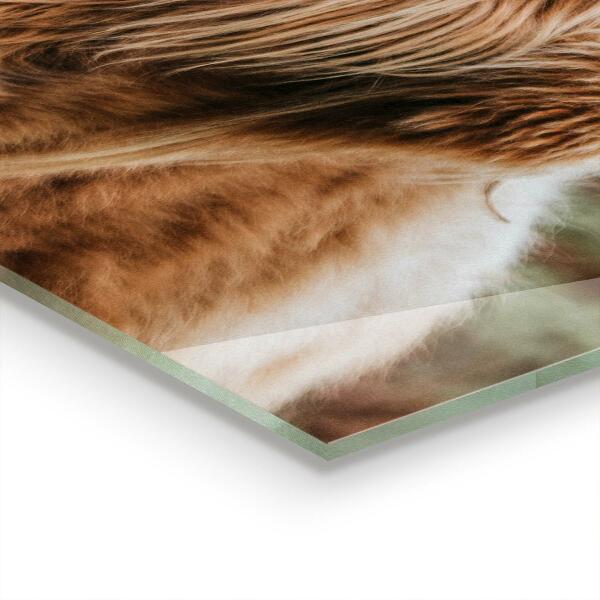 Konyhai panel Felvidéki kunyhó stílusú tehén